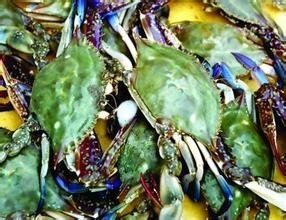 丹东东港黄海大市场全攻略 地址、交通、拿货及营业时间详解