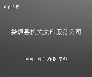 娄烦县机关文印服务公司 高效打字复印，助力政务办公